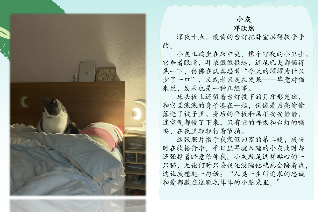 2577253BD1894CE3BAC96E3F93BA5E61