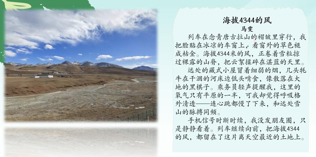 47677C8C8263338924FC7A758B053901