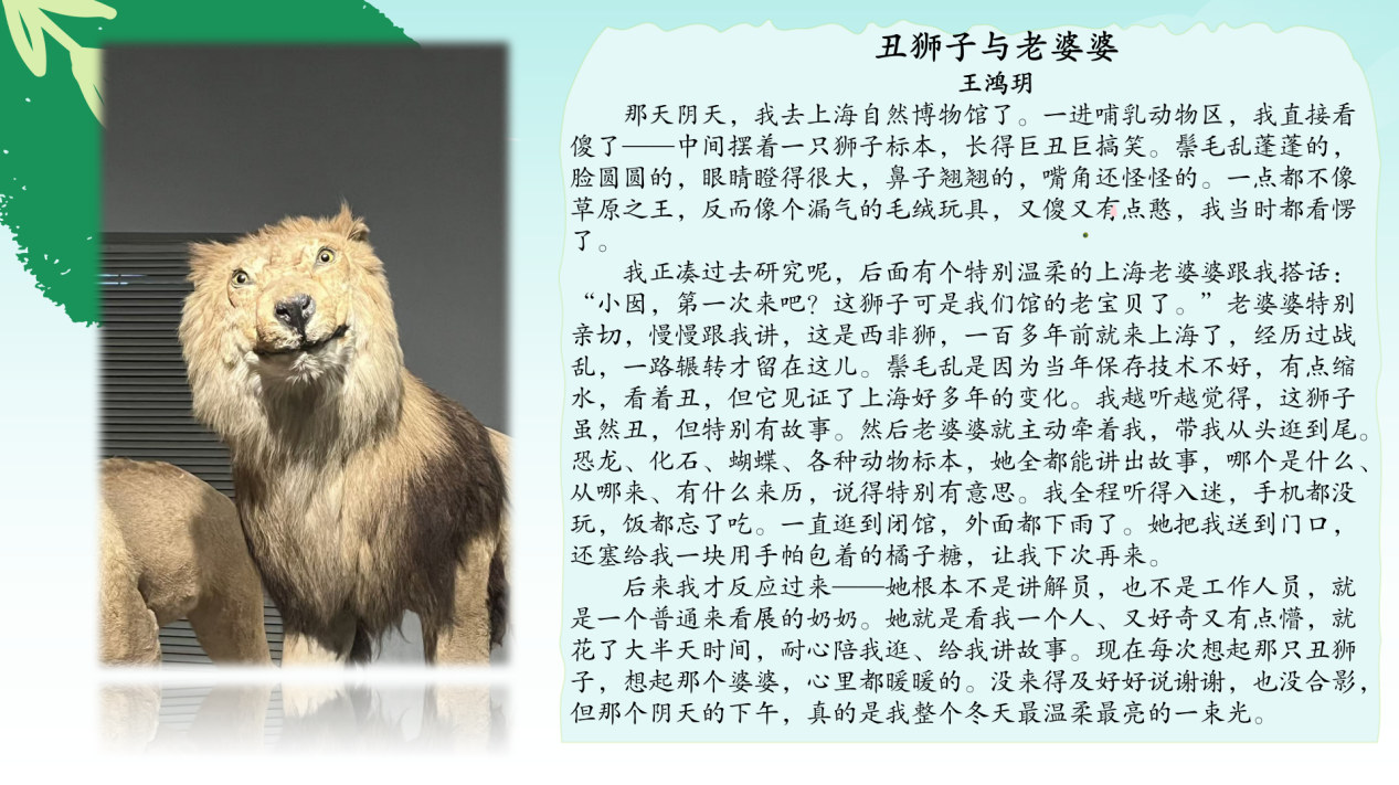 AFECDD8FCF003680FE4363E0FA58E4E5