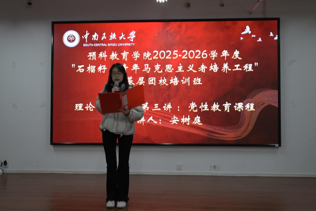 图示, 示意图 中度可信度描述已自动生成:ver1