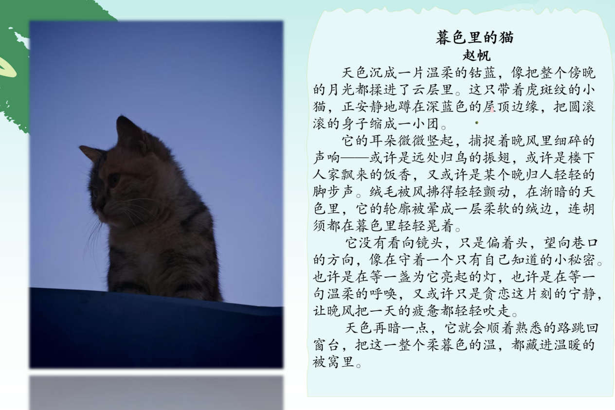 0FC8C3986FB6C4023F091D31B68F29AF