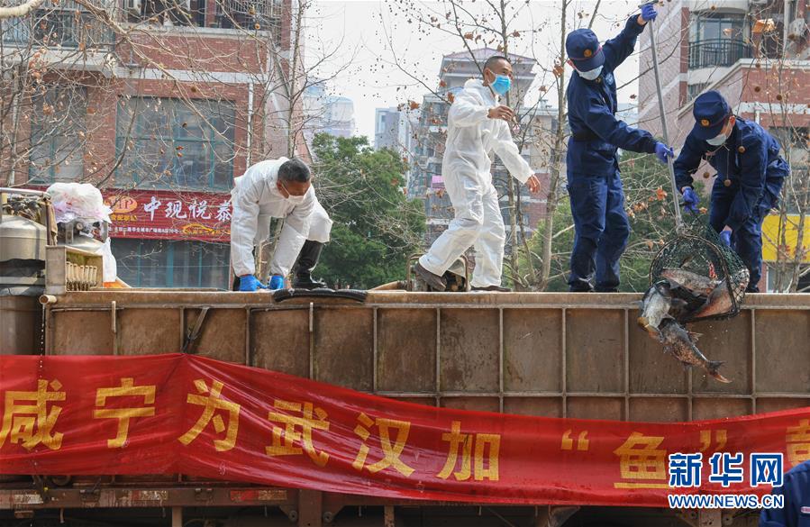 (新华全媒头条·图文互动)(12)从人民中汲取磅礴力量——习近平总书记同出席2020年全国两会人大代表、政协委员共商国是纪实