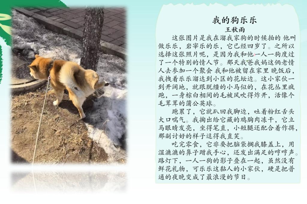 778D9E9AC3FF365C774F82058BC9507D